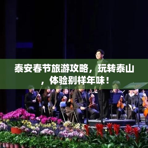 泰安春节旅游攻略，玩转泰山，体验别样年味！