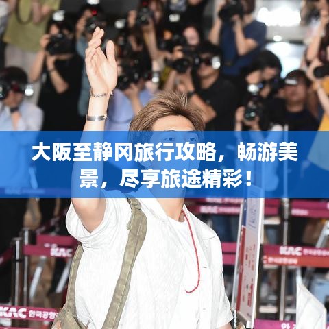大阪至静冈旅行攻略，畅游美景，尽享旅途精彩！