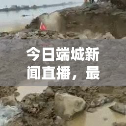 今日端城新闻直播，最新消息动态速递