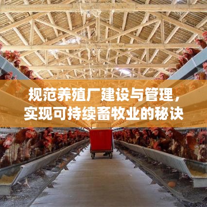 规范养殖厂建设与管理，实现可持续畜牧业的秘诀之道