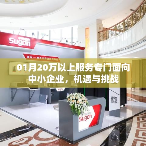 中小企业服务市场的新机遇与挑战分析