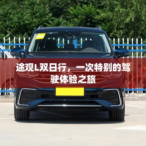 在线留言 第61页