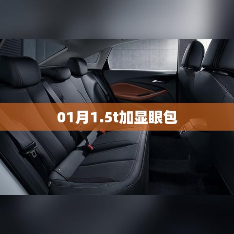 01月时尚潮流，1.5t显眼包大解析