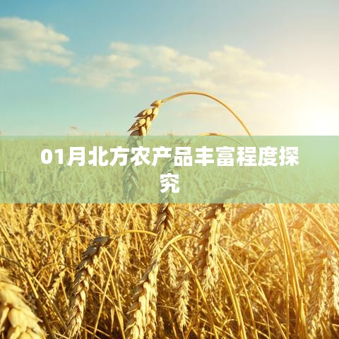 北方一月份农产品丰富程度探析