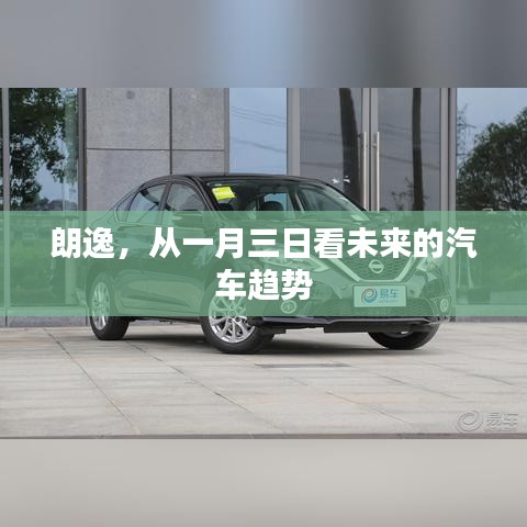 滩涂开挖 第61页