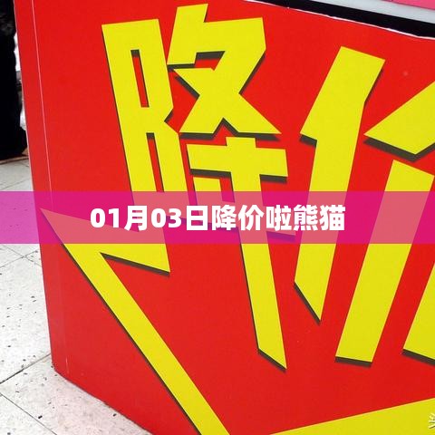 熊猫商品降价来袭，抢购倒计时开启！