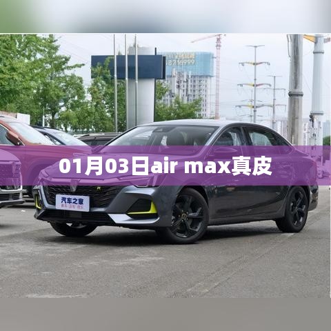 Air Max真皮鞋款，时尚舒适之选