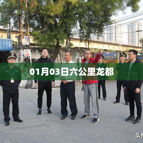 六公里龙都，最新动态及资讯一网打尽