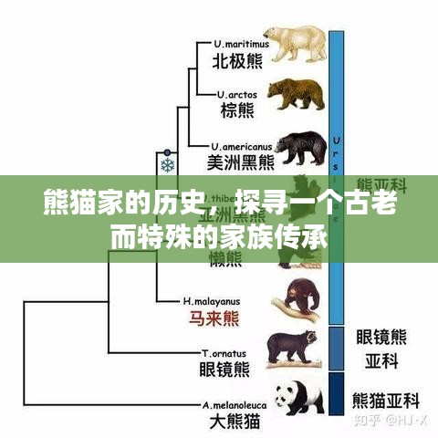 熊猫家族传承史，探寻古老家族的独特历史