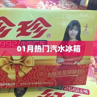 热门汽水冰箱大盘点，一月新品不容错过