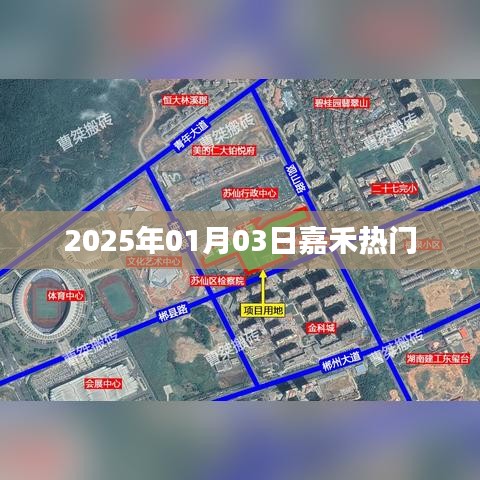 嘉禾热门资讯，2025年1月3日动态
