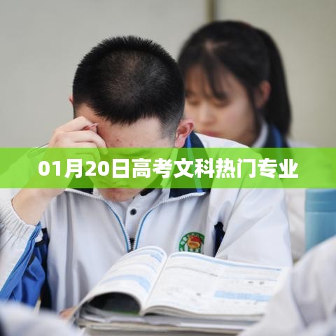 关于丰冠 第168页