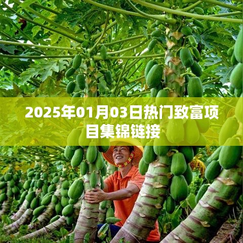『最新致富项目推荐，2025年热门商机一网打尽』
