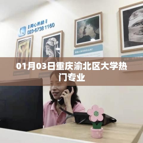 重庆渝北区大学热门专业解析