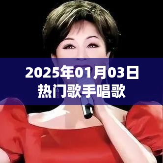 关于热门歌手在2025年元旦演唱会的精彩瞬间