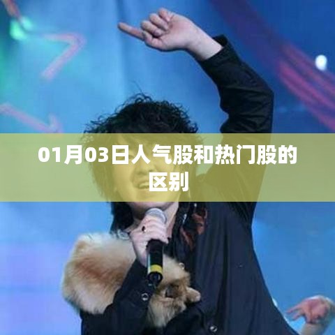 人气股与热门股差异解析，概念、特点与选择策略