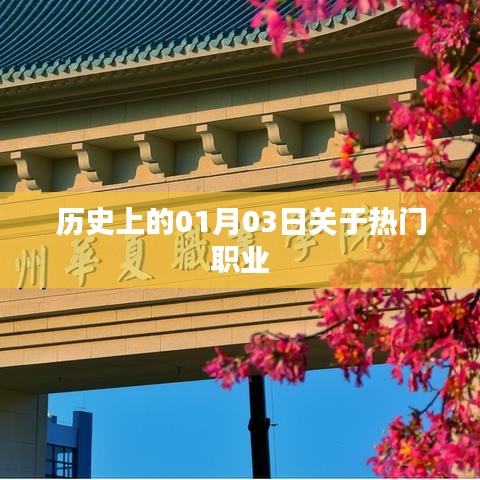 在线留言 第59页