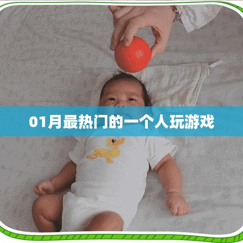 01月独玩游戏热门排行榜来袭