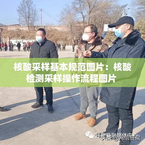 核酸采样基本规范图片：核酸检测采样操作流程图片 