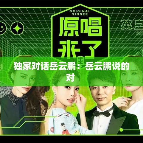 独家对话岳云鹏：岳云鹏说的对 