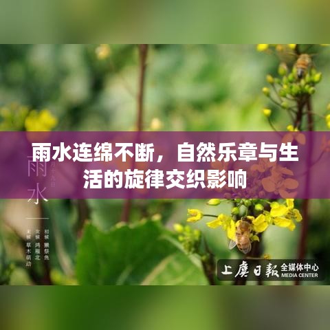 雨水连绵不断，自然乐章与生活的旋律交织影响