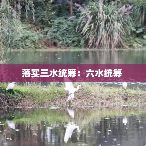 落实三水统筹：六水统筹 