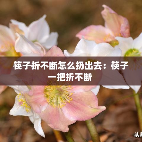 筷子折不断怎么扔出去：筷子一把折不断 