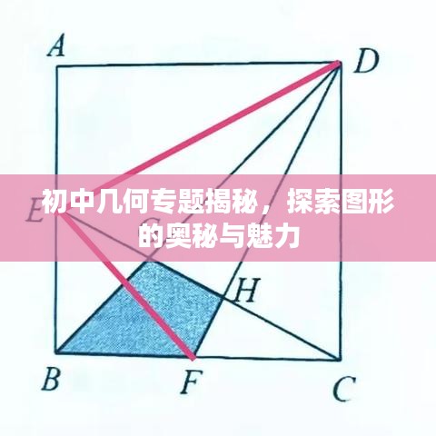 初中几何专题揭秘，探索图形的奥秘与魅力
