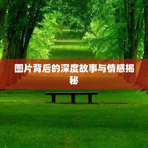 图片背后的深度故事与情感揭秘