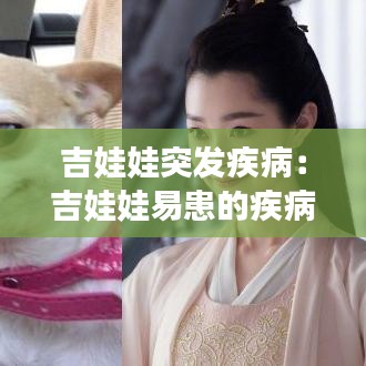 吉娃娃突发疾病：吉娃娃易患的疾病有哪些 