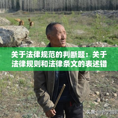 关于法律规范的判断题：关于法律规则和法律条文的表述错误的是 