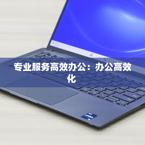 专业服务高效办公：办公高效化 