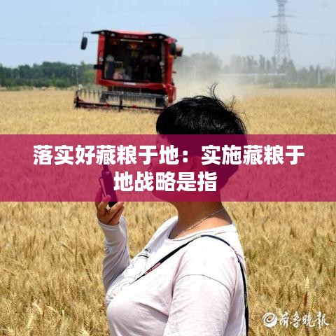 落实好藏粮于地：实施藏粮于地战略是指 