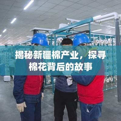 揭秘新疆棉产业，探寻棉花背后的故事