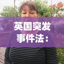 英国突发事件法：英国的事件 