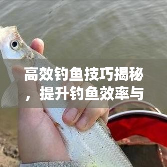 高效钓鱼技巧揭秘，提升钓鱼效率与成功率的艺术之道