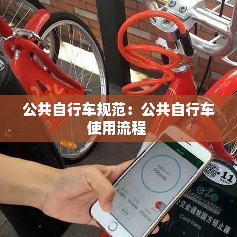 公共自行车规范：公共自行车使用流程 