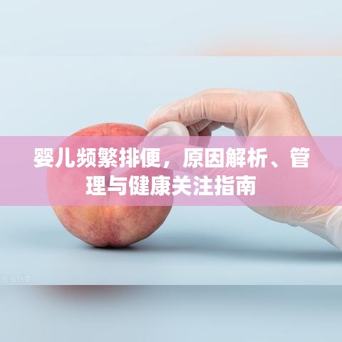 联系丰冠 第57页