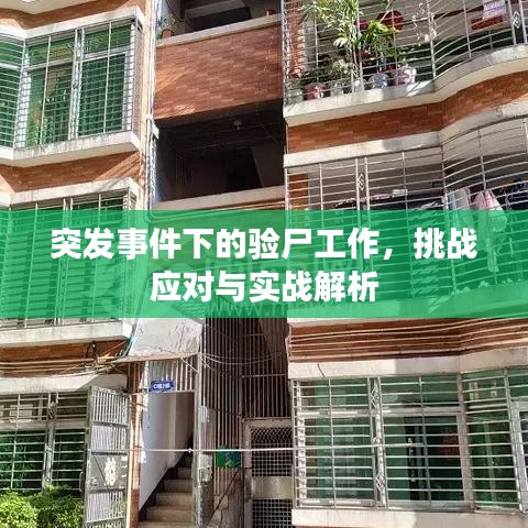 突发事件下的验尸工作，挑战应对与实战解析