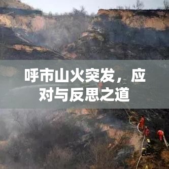 呼市山火突发，应对与反思之道