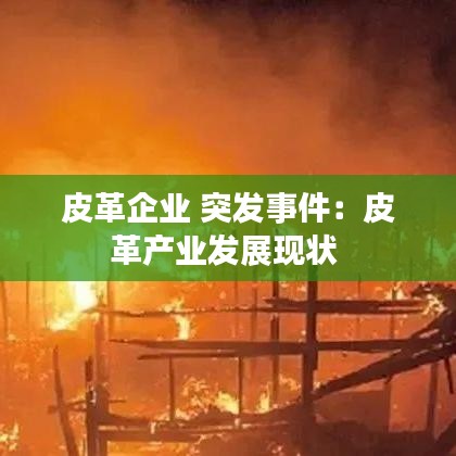 皮革企业 突发事件：皮革产业发展现状 