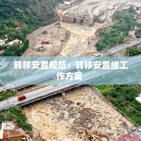 转移安置规范：转移安置组工作方案 