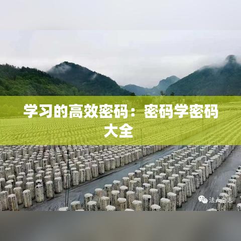 学习的高效密码：密码学密码大全 