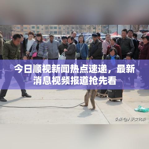 今日顺视新闻热点速递，最新消息视频报道抢先看