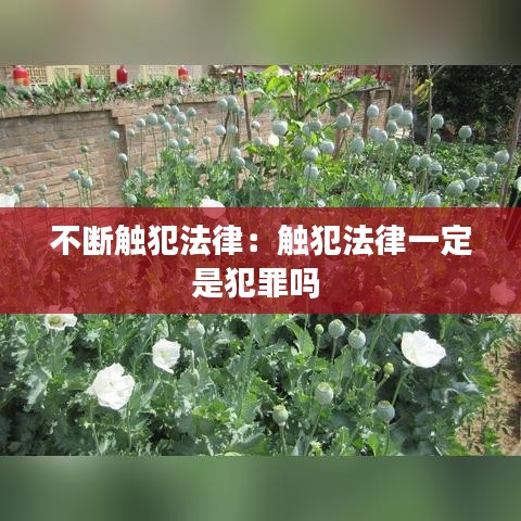 不断触犯法律：触犯法律一定是犯罪吗 