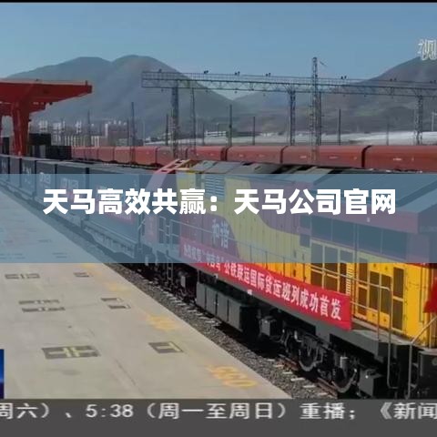 天马高效共赢：天马公司官网 