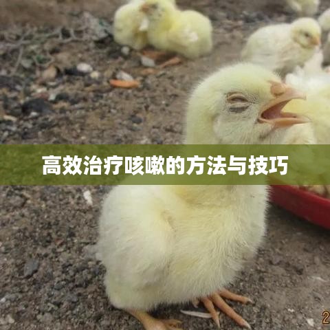 高效治疗咳嗽的方法与技巧