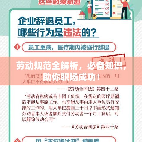 公司新闻 第55页