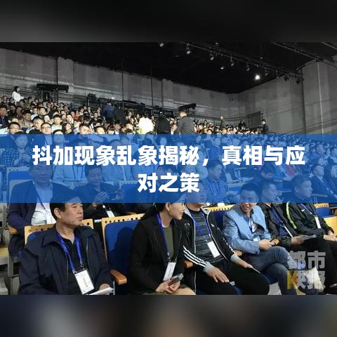 抖加现象乱象揭秘，真相与应对之策