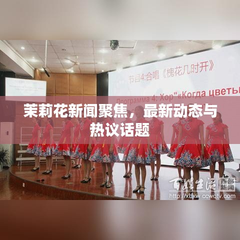 茉莉花新闻聚焦，最新动态与热议话题